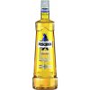 Puschkin Time Warp 17,7% 1 l (čistá fľaša)