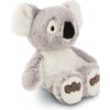 NICI plyš Koala Barry 18cm GREEN