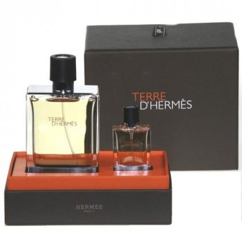 Hermès Terre D'Hermès toaletná voda pánska 100 ml