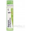 Magnesia Phosphorica gra.1 x 4 g 5CH