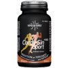 Hifas da Terra Cordy-Sin Sport + B12 60 kapsúl