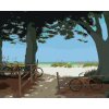Zuty – Maľovanie Podľa Čísel – Bicykle A Stromy Pri Pláži (Robert Johnson), 80 × 100 cm, Plátno + Rám 8596530122319