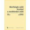 Morfologie zubů. Kreslení a modelování zubů - 4. vydání - Květoslava Monhartová; Hana Hecová