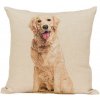 Matějovský Obliečka Gobelínová na vankúš - Retriever Bavlna/ Polyester/ Akryl 45/45 45x45 zvieratá hnedá