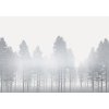 Komar Vliesová fototapeta Silver Haze 400 x 280 cm