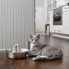 PetSafe Fontánka PetSafe® Seaside Nerezová Farba: alpine-dawn, Velkost: 1,8L
