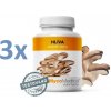 MycoMedica Hliva ustricová 3 x 90 kapsúl