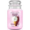 Tradičná sójová sviečka Pumpkin Waffle Cone Country Candle 1 ks