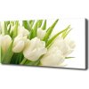 Foto obraz tlačený na plátne Biele tulipány 100x50 cm