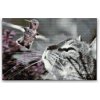 Vymalujsisam.sk Diamantovanie podľa čísiel - Mačka a vták Veľkosť: 40x60cm, Rám: Na kartónovej doske, Diamanty: Hranaté
