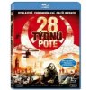 28 týdnů poté BD