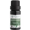 Nobilis Tilia Eukalyptus globulus 10 ml