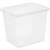 Plast Team Úložný Box Basic 31 l