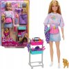 Mattel HNK95 Barbie Malibu stylistka