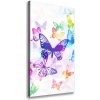 Vertikálny foto obraz na plátne Farební motýle 50x100 cm