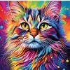 Norimpex Diamantová maľba Portrét farebného mačiatka 30 x 40 cm 1-39 dielov