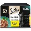Sheba Delikatesse in Jelly kura morka kačica hydina 12 x 85 g