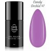 NANI gél lak Amazing Line 5 ml - Candy Orchid