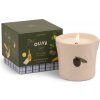 Paddywax Bistro Fig Olive 226 g