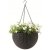 Keter Hanging Sphere závesný 35 x 35 x 22 cm 229544 hnedý