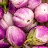 BIO Baklažán Rosa Bianca - Solanum melongena - bio semená - 8 ks