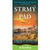 Strmý pád - Linda Castillo