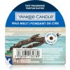 Yankee Candle Amber & Sandalwood vosk do aromalampy 22 g
