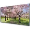 Obraz na akrylátovom skle Chodník stromy príroda 100x50 cm