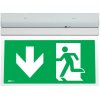 ARELUX XWAY 10 WY10M ADN (Down) (Stropné / nástenné núdzové LED svietidlo s piktogramom.)