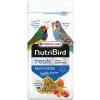 Versele Laga VL Orlux NutriBird Treats Frutti Patee 250 g