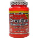 Amix Creatine Monohydrate 500 g