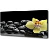 Foto obraz canvas Orchidea 100x50 cm