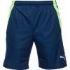 Puma TEAMLIGA TRAINING SHORTS 2