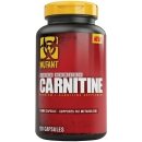 PVL Core Series L-Carnitine 120 tabliet