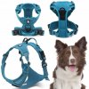 Truelove Postroj pre psa Easy Walk