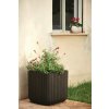 Keter Cube Planter M Květináč 30 x 30 x 30 cm antracit