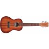 Cordoba 15CM