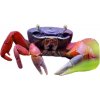 Krab - Cardisoma armatum