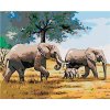 Maľovanie podľa čísel – Slonia rodinka, 100 × 80 cm, bez rámu a bez napnutia plátna 8596530044703