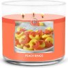 Sviečka 0,41 KG PEACH RINGS, aromatická v dóze, 3 knôty | Goose Creek