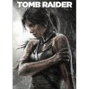 Tomb Raider (Survivor Edition)