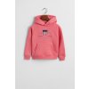 Gant Archive Shield Raglan Hoodie Blush Pink