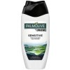 PALMOLIVE SPRCHOVÝ GÉL MEN SENSITIVE 2v1 250 ML