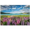 Clementoni - Puzzle Lupiny pri jazere Tekapo - 1500 dielov