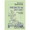 Probuď se do snu - Dumitru Ţepeneag