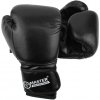 Boxovacie rukavice MASTER TG12