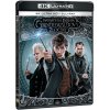 Fantastická zvířata: Grindelwaldovy zločiny - 2Blu-ray (4K Ultra HD + Blu-ray)