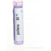 Pollens gra.1 x 4 g 30CH