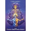 The Twice-Drowned Saint (C. S. E. Cooney)(Brožovaná)
