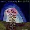 Sestry Steinovy - Lilie polní [CD]